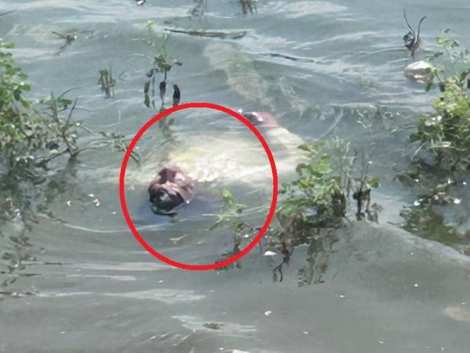 The body lying in the water stood up upon seeing the police, the videographers were speechless. | पोलिसांना पाहताच उठून उभा राहिला पाण्यात पडलेला मृतदेह, व्हिडीओ काढणारे झाले अवाक् The body lying in the water stood up upon seeing the police, the videographers were speechless. | पोलिसांना पाहताच उठून उभा राहिला पाण्यात पडलेला मृतदेह, व्हिडीओ काढणारे झाले अवाक्