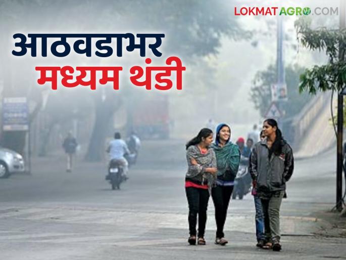 Latest News Maharashtra Weather Update Moderate cold weather in Maharashtra for next week | Maharashtra Weather Update : पुढील आठवडाभर महाराष्ट्रात थंडी कशी राहील? जाणून घ्या सविस्तर   Latest News Maharashtra Weather Update Moderate cold weather in Maharashtra for next week | Maharashtra Weather Update : पुढील आठवडाभर महाराष्ट्रात थंडी कशी राहील? जाणून घ्या सविस्तर