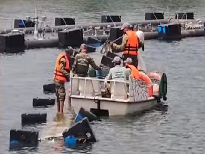 Operation crocodile in Moti Lake in Sawantwadi still unsuccessful, forest department tries again | सावंतवाडीत मोती तलावातील 'ऑपरेशन मगर' अद्याप अपयशी, वन विभागाकडून पुन्हा प्रयत्न Operation crocodile in Moti Lake in Sawantwadi still unsuccessful, forest department tries again | सावंतवाडीत मोती तलावातील 'ऑपरेशन मगर' अद्याप अपयशी, वन विभागाकडून पुन्हा प्रयत्न