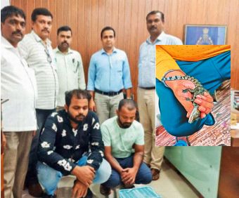 Came to sell baby crocodiles, went to jail | आले होते मगरीची पिल्ले विकायला, गेले जेलमध्ये Came to sell baby crocodiles, went to jail | आले होते मगरीची पिल्ले विकायला, गेले जेलमध्ये