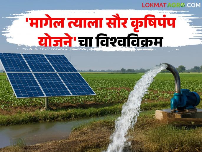 Highest number of solar pumps installed in the state; Solar Agricultural Pump Scheme enters Guinness Book of World Records | राज्यात सौर पंप बसविण्याचा उच्चांक; मागेल त्याला सौर कृषिपंप योजनेची गिनीज बुकमध्ये नोंद