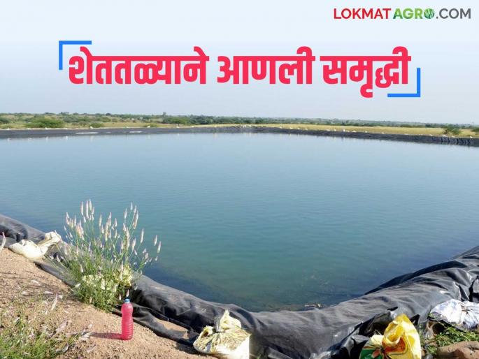 Magel Tyala Shettale: In the last two years, the farm has brought prosperity to 'this' district | Magel Tyala Shettale : मराठवाड्यातील 'या' जिल्ह्यांत आणली शेततळीने समृध्दी Magel Tyala Shettale: In the last two years, the farm has brought prosperity to 'this' district | Magel Tyala Shettale : मराठवाड्यातील 'या' जिल्ह्यांत आणली शेततळीने समृध्दी