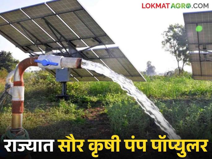 This scheme of Mahavitran became popular among the farmers Read in detail | Saur Krushi Pump Yojana : महावितरणची ही योजना शेतकऱ्यांमध्ये ठरली लोकप्रिय वाचा सविस्तर This scheme of Mahavitran became popular among the farmers Read in detail | Saur Krushi Pump Yojana : महावितरणची ही योजना शेतकऱ्यांमध्ये ठरली लोकप्रिय वाचा सविस्तर