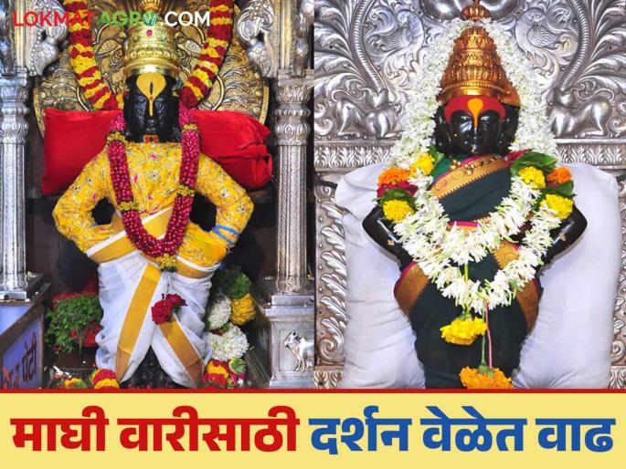 Maghi Yatra Pandharpur : Good news for farmers; Eighteen hour darshan of Panduranga on Maghi Ekadashi Yatra | Maghi Yatra Pandharpur : शेतकरी वारकऱ्यांसाठी खुशखबर; माघी एकादशी यात्रेला पांडुरंगाचे आठरा तास दर्शन Maghi Yatra Pandharpur : Good news for farmers; Eighteen hour darshan of Panduranga on Maghi Ekadashi Yatra | Maghi Yatra Pandharpur : शेतकरी वारकऱ्यांसाठी खुशखबर; माघी एकादशी यात्रेला पांडुरंगाचे आठरा तास दर्शन