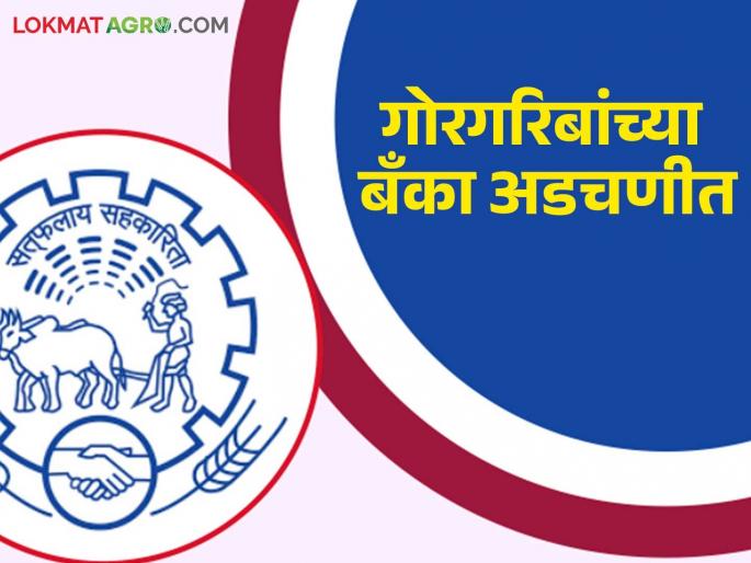 District and cooperative banks in Maharashtra have gone bankrupt npa at Rs 14,107 crore; Let's see what the issue is in detail | महाराष्ट्रातील जिल्हा व सहकारी बँकांचे १४,१०७ कोटी बुडीत; काय आहे प्रकरण पाहूया सविस्तर District and cooperative banks in Maharashtra have gone bankrupt npa at Rs 14,107 crore; Let's see what the issue is in detail | महाराष्ट्रातील जिल्हा व सहकारी बँकांचे १४,१०७ कोटी बुडीत; काय आहे प्रकरण पाहूया सविस्तर