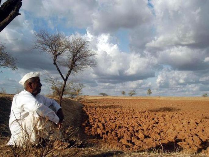 In the agricultural crisis of the state, production will fall by 8% | राज्यातील शेती संकटात, उत्पादन ८ टक्क्यांनी घटणार