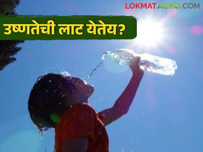 Forecast of heat wave in the country; How do you take care? | देशात उष्णतेच्या लाटेचा अंदाज; कशी घ्याल काळजी Forecast of heat wave in the country; How do you take care? | देशात उष्णतेच्या लाटेचा अंदाज; कशी घ्याल काळजी
