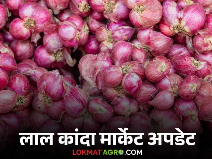 Latest News Todays Kanda Market Mahashivratri onion prices see details | Kanda Bajarbhav : महाशिवरात्रीला कांद्याला काय भाव मिळाला? वाचा आजचे बाजारभाव  Latest News Todays Kanda Market Mahashivratri onion prices see details | Kanda Bajarbhav : महाशिवरात्रीला कांद्याला काय भाव मिळाला? वाचा आजचे बाजारभाव