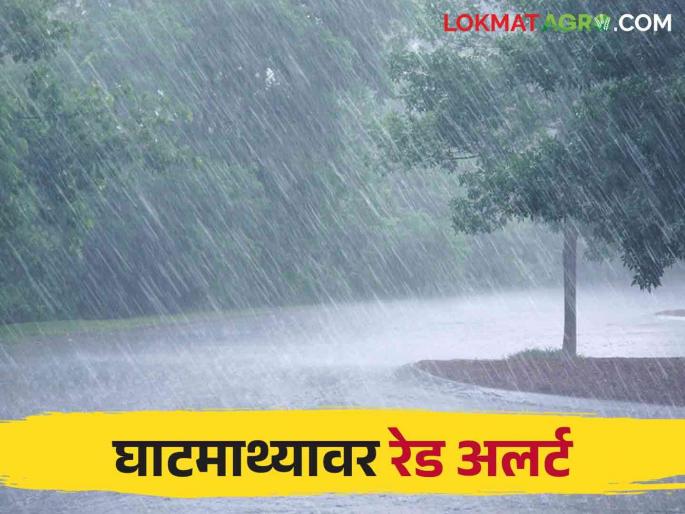 Maharashtra Weather Update: Heavy rain forecast in the state for the next 5 days | Maharashtra Weather Update: पुढील ५ दिवस राज्यात कुठे जोरदार पावसाचा अंदाज Maharashtra Weather Update: Heavy rain forecast in the state for the next 5 days | Maharashtra Weather Update: पुढील ५ दिवस राज्यात कुठे जोरदार पावसाचा अंदाज
