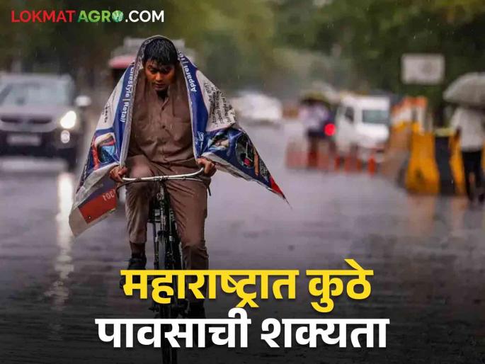 Latest News Heavy rain in some places, some parts dry When does it rain in Maharashtra | Maharashtra Rain Update : राज्यात काही ठिकाणी मुसळधार, काही भाग कोरडाच, सर्वदूर पाऊस कधी? 