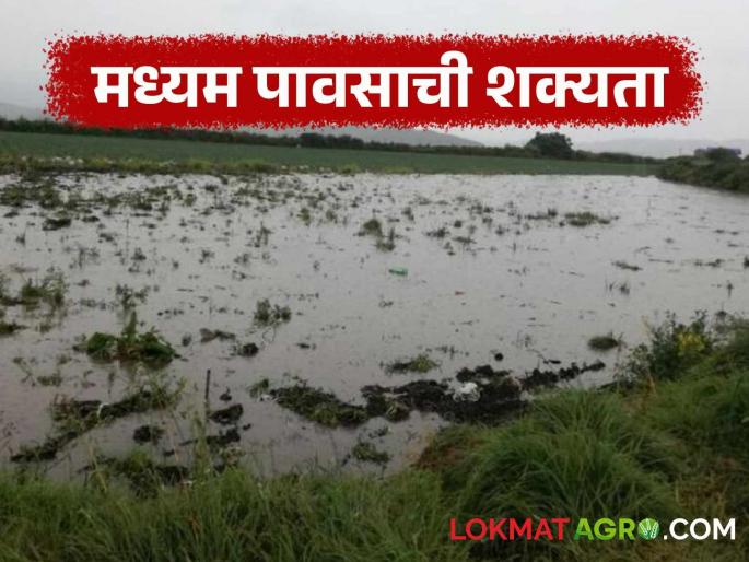 Latest News Maharashtra Rain Heavy rain likely in these district of Vidarbha see other district Rain | विदर्भातील 'या' जिल्ह्यात जोरदार पावसाची शक्यता, उर्वरित भागात कसा असेल पाऊस? 