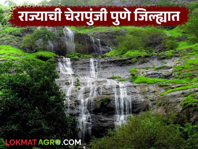 This taluka, which has become the Cherrapunji of the state, has recorded the highest rainfall till date | राज्याचे चेरापुंजी ठरलेल्या 'या' तालुक्यात आजपर्यंतच्या सर्वाधिक पावसाची नोंद