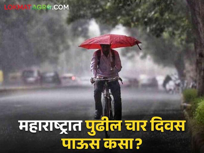 Maharashtra Rain Update Chance of good rain in Maharashtra for next four days, read details | Maharashtra Rain Update : पुढील चार दिवस महाराष्ट्रात चांगल्या पावसाची शक्यता', वाचा कुठे बरसणार पाऊस? Maharashtra Rain Update Chance of good rain in Maharashtra for next four days, read details | Maharashtra Rain Update : पुढील चार दिवस महाराष्ट्रात चांगल्या पावसाची शक्यता', वाचा कुठे बरसणार पाऊस?