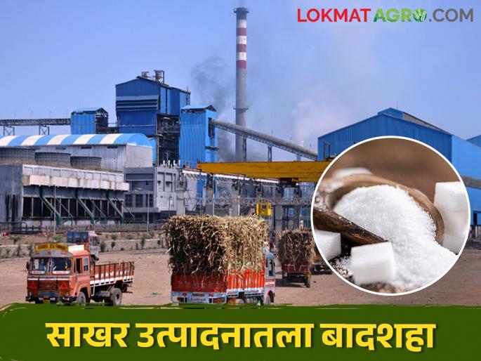 Which state leads in the highest production of sugar in the country? | देशात सर्वोच्च साखर उत्पादन करण्यात कोणते राज्य आघाडीवर Which state leads in the highest production of sugar in the country? | देशात सर्वोच्च साखर उत्पादन करण्यात कोणते राज्य आघाडीवर