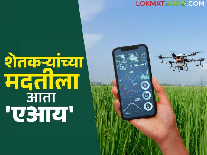 Important decision of the state government, approval of MahaAgri-AI policy; How will agriculture benefit? | राज्य शासनाचा महत्वाचा निर्णय, महाॲग्री-एआय धोरणाला मंजुरी; कसा होणार शेतीला फायदा?