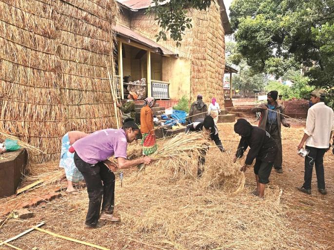 Raincoat Blossom Buildings Protecting from the heavy rains in Mahabaleshwar | इमारतींना रेनकोट गवताचे । महाबळेश्वरमधील अती पावसापासून रक्षण