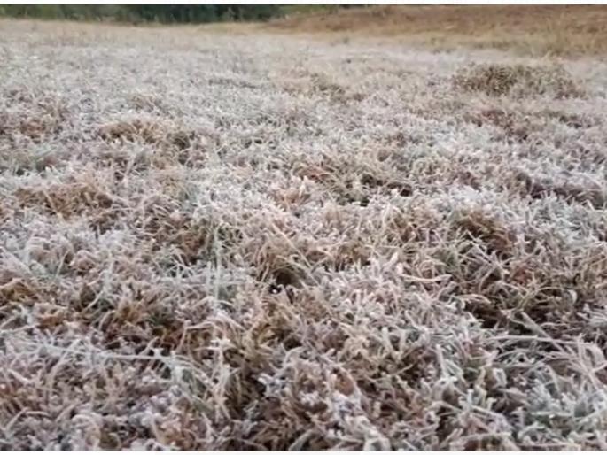 mahabaleshwar venna lake lingmala area temperature at 6 to 7 degrees | महाबळेश्वरमध्ये पुन्हा 'हिमकण'; वेण्णालेक-लिंगमळा परिसरात हिमकणांची चादर, पारा ६-७ अंशावर mahabaleshwar venna lake lingmala area temperature at 6 to 7 degrees | महाबळेश्वरमध्ये पुन्हा 'हिमकण'; वेण्णालेक-लिंगमळा परिसरात हिमकणांची चादर, पारा ६-७ अंशावर