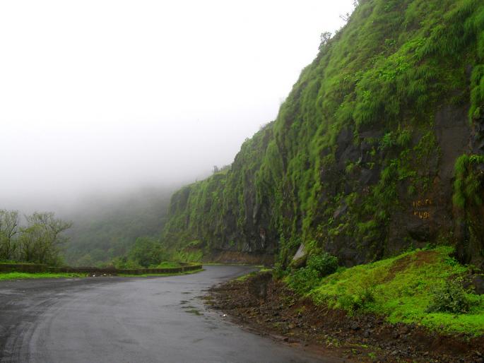 Koyna Dam stores water at 74 TMC, rains continue in western part | कोयना धरणात ७४ टीएमसीवर पाणीसाठा, पश्चिम भागात पाऊस सुरूच Koyna Dam stores water at 74 TMC, rains continue in western part | कोयना धरणात ७४ टीएमसीवर पाणीसाठा, पश्चिम भागात पाऊस सुरूच