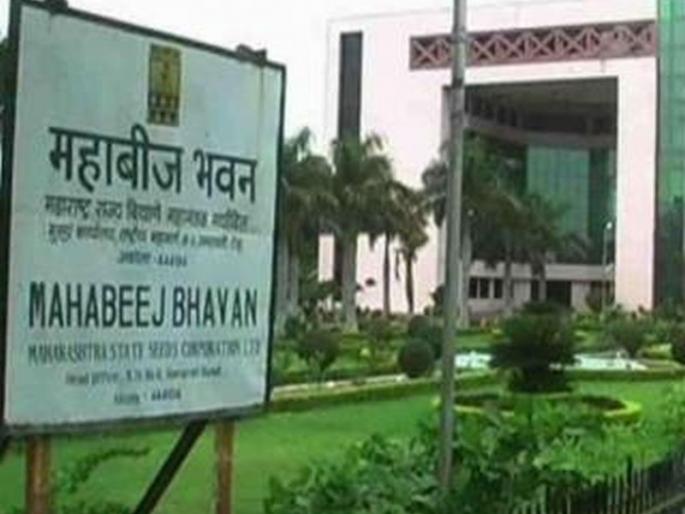 2.23 crore to 705 seed growers due to price difference from Mahabeej | भाव फरकापोटी ७०५ बीजोत्पादकांना महाबीजकडून २.२३ कोटी 2.23 crore to 705 seed growers due to price difference from Mahabeej | भाव फरकापोटी ७०५ बीजोत्पादकांना महाबीजकडून २.२३ कोटी