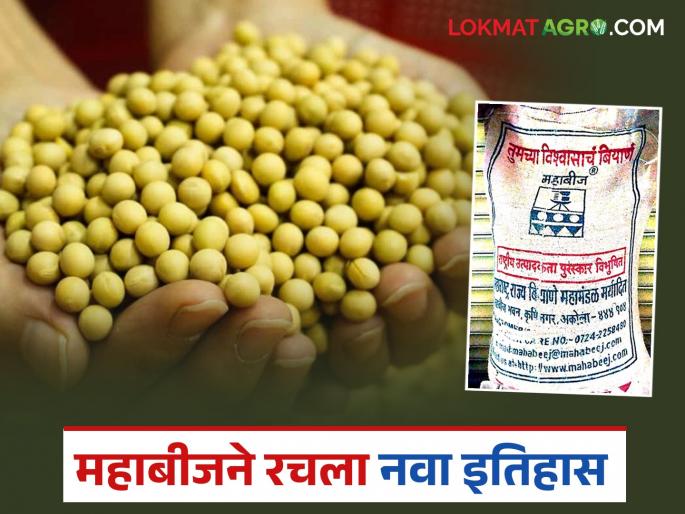 latest news MahaBeej Seeds: MahaBeej Akola Laboratory gets national NABL accreditation; New standard for seed quality | MahaBeej Seeds : महाबीज अकोला प्रयोगशाळेला राष्ट्रीय NABL मानांकन; बियाण्यांच्या गुणवत्तेला नवा दर्जा