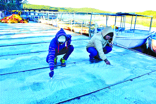 Area Mahabaleshwar has 'B' class status: Government decision | क्षेत्र महाबळेश्वरला ‘ब’ वर्ग दर्जा : शासनाचा निर्णय Area Mahabaleshwar has 'B' class status: Government decision | क्षेत्र महाबळेश्वरला ‘ब’ वर्ग दर्जा : शासनाचा निर्णय