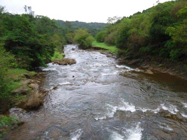 Goa shocked if Karnataka gets relief on Mhadai Water issue in Supreme Court hearing | म्हादईप्रश्नी सुप्रीम कोर्टाच्या सुनावणीमुळे कर्नाटकला मिळाला दिलासा तर गोव्याला धक्का Goa shocked if Karnataka gets relief on Mhadai Water issue in Supreme Court hearing | म्हादईप्रश्नी सुप्रीम कोर्टाच्या सुनावणीमुळे कर्नाटकला मिळाला दिलासा तर गोव्याला धक्का
