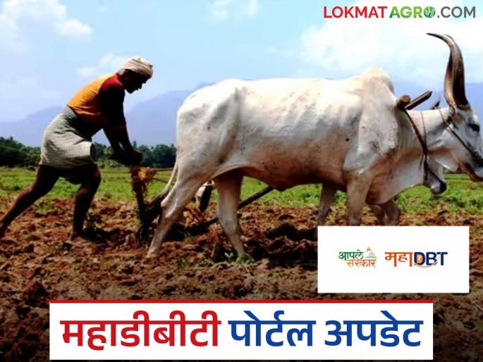 Latest News Big update from MahaDBT portal, now new facility for farmers see details | MahaDBT Portal : महाडीबीटी पोर्टलमध्ये आता नवे अपडेट, 'या' शेतकऱ्यांना होईल फायदा
