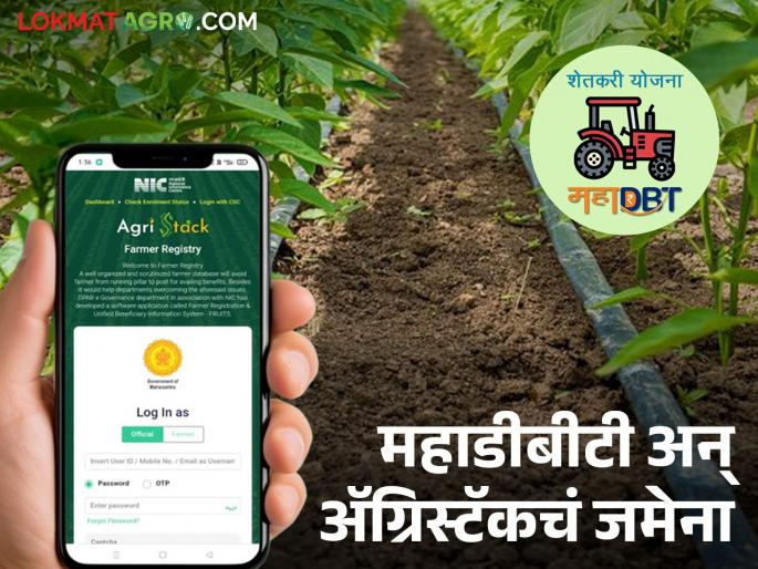 Farmer id : Agristack not working for drip irrigation scheme; farmers have to submit again satbara document | Farmer id : ठिबक योजनेसाठी अॅग्रिस्टॅक चालेना; शेतकऱ्यांना पुन्हा द्यावा लागतोय सातबारा उतारा Farmer id : Agristack not working for drip irrigation scheme; farmers have to submit again satbara document | Farmer id : ठिबक योजनेसाठी अॅग्रिस्टॅक चालेना; शेतकऱ्यांना पुन्हा द्यावा लागतोय सातबारा उतारा