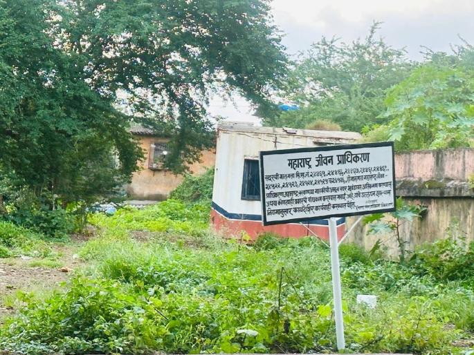 Finally nameplate on Ulhasnagar MJP seat There is a rumor that Sanad has been drawn on the land worth crores | अखेर उल्हासनगर एमजेपीच्या जागेवर नामफलक; कोट्यावधीच्या जागेवर सनद काढल्याची अफवा Finally nameplate on Ulhasnagar MJP seat There is a rumor that Sanad has been drawn on the land worth crores | अखेर उल्हासनगर एमजेपीच्या जागेवर नामफलक; कोट्यावधीच्या जागेवर सनद काढल्याची अफवा