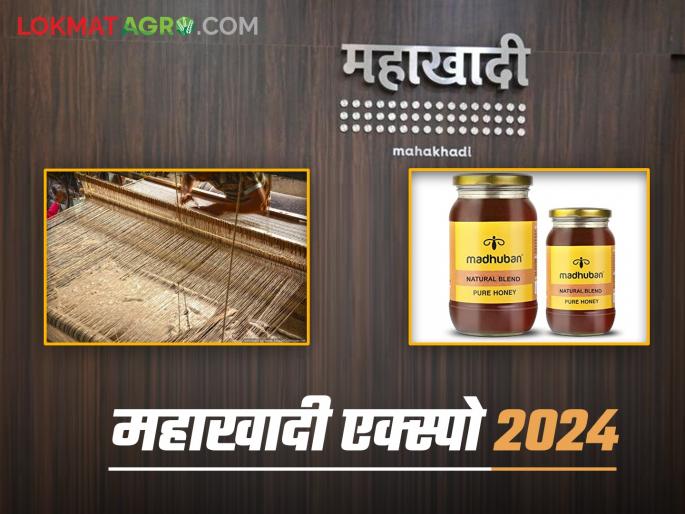 If you want to spin yarn on Charkha and create cloth on handloom then visit Mahakhadi Expo 2024 | चरख्यावर सुत कताई आणि हातमागावर कापड तयार करायचं आहे तर भेट द्या महाखादी एक्स्पो २०२४ If you want to spin yarn on Charkha and create cloth on handloom then visit Mahakhadi Expo 2024 | चरख्यावर सुत कताई आणि हातमागावर कापड तयार करायचं आहे तर भेट द्या महाखादी एक्स्पो २०२४