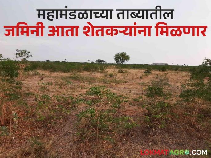 Those lands taken over by the British government will be given to the original farmers after 106 years | ब्रिटिश सरकारने ताब्यात घेतलेल्या त्या जमिनी १०६ वर्षानंतर मूळ शेतकऱ्यांना मिळणार Those lands taken over by the British government will be given to the original farmers after 106 years | ब्रिटिश सरकारने ताब्यात घेतलेल्या त्या जमिनी १०६ वर्षानंतर मूळ शेतकऱ्यांना मिळणार