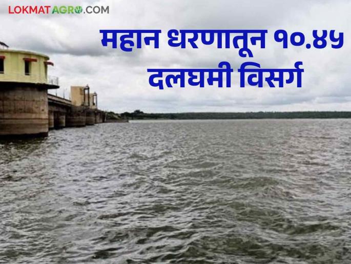 Mahan Dam : 10.45 Dalghmi water discharge from Mahan Dam in last 48 hours | Mahan Dam : गेल्या ४८ तासांत महान धरणातून १०.४५ दलघमी पाण्याचा विसर्ग Mahan Dam : 10.45 Dalghmi water discharge from Mahan Dam in last 48 hours | Mahan Dam : गेल्या ४८ तासांत महान धरणातून १०.४५ दलघमी पाण्याचा विसर्ग