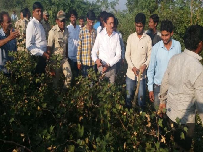 Girish mahajan gave explaination on leopard issue | आजपर्यंत साधी चिमणी मारली नाही, शिकारीचा उद्देश अजिबात नव्हता; गिरीश महाजन यांचं स्पष्टीकरण Girish mahajan gave explaination on leopard issue | आजपर्यंत साधी चिमणी मारली नाही, शिकारीचा उद्देश अजिबात नव्हता; गिरीश महाजन यांचं स्पष्टीकरण