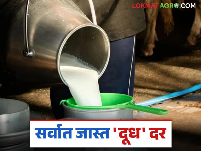 Dudh Dar : This team is paying the highest price for milk in the state; Read in detail | Dudh Dar : राज्यात हा संघ देतोय दुधाला सगळ्यात जास्त दर; वाचा सविस्तर Dudh Dar : This team is paying the highest price for milk in the state; Read in detail | Dudh Dar : राज्यात हा संघ देतोय दुधाला सगळ्यात जास्त दर; वाचा सविस्तर