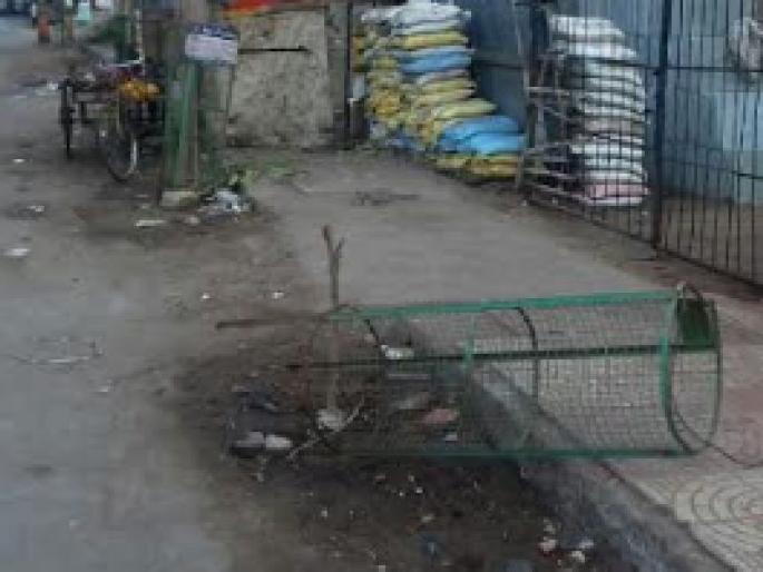 Mira Bhairindar News | हरीत मिरा भार्इंदरच्या वल्गना पोकळच, रोपांच्या संरक्षणासाठी लावलेल्या पिंज-यांची मोडतोड Mira Bhairindar News | हरीत मिरा भार्इंदरच्या वल्गना पोकळच, रोपांच्या संरक्षणासाठी लावलेल्या पिंज-यांची मोडतोड