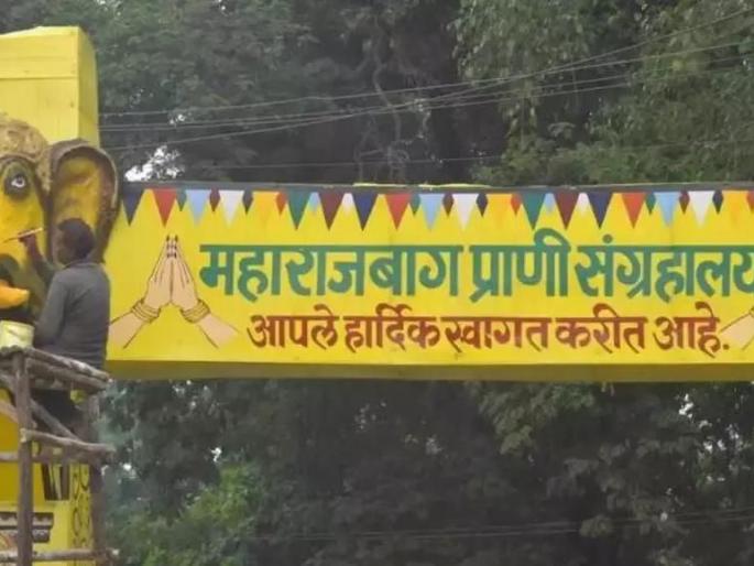 Will not close MaharajBagh : Angry reaction of Nagpur | महाराजबाग बंद होऊ देणार नाही : नागपूरकरांची संतप्त प्रतिक्रिया Will not close MaharajBagh : Angry reaction of Nagpur | महाराजबाग बंद होऊ देणार नाही : नागपूरकरांची संतप्त प्रतिक्रिया