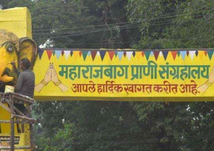 Agricultural University's Appeal for the approval of Maharajbagh | महाराजबागला मान्यता मिळण्यासाठी कृषी विद्यापीठाचे अपील Agricultural University's Appeal for the approval of Maharajbagh | महाराजबागला मान्यता मिळण्यासाठी कृषी विद्यापीठाचे अपील