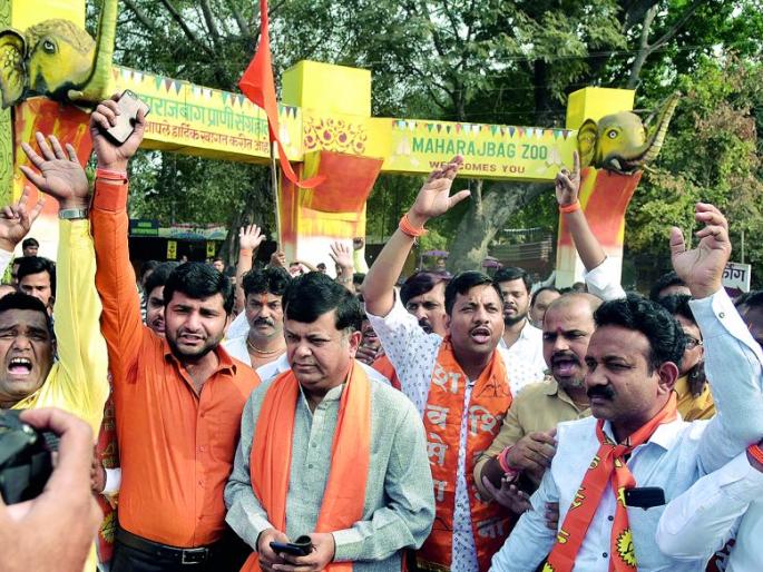 Political parties have come to save Maharajbagh | महाराजबागेच्या बचावासाठी सरसावले राजकीय पक्ष Political parties have come to save Maharajbagh | महाराजबागेच्या बचावासाठी सरसावले राजकीय पक्ष