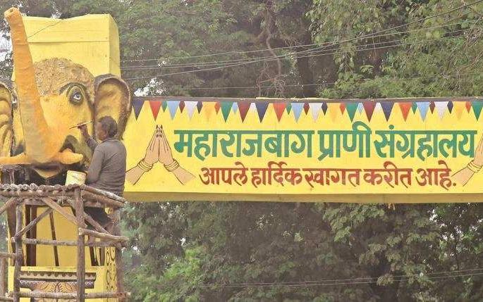 Extension to Maharaj Bagh Zoo for one year | महाराज बाग प्राणिसंग्रहालयाला पुन्हा वर्षभराची मुदत Extension to Maharaj Bagh Zoo for one year | महाराज बाग प्राणिसंग्रहालयाला पुन्हा वर्षभराची मुदत