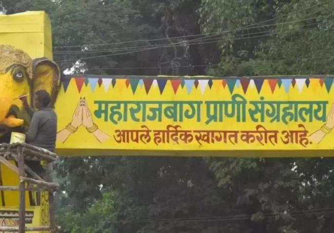 Maharajbag will be closed! Mailing to cancel the permission of zoos | महाराजबाग बंद होणार! प्राणिसंग्रहालयाची मंजुरी रद्द करण्याचा धडकला मेल Maharajbag will be closed! Mailing to cancel the permission of zoos | महाराजबाग बंद होणार! प्राणिसंग्रहालयाची मंजुरी रद्द करण्याचा धडकला मेल