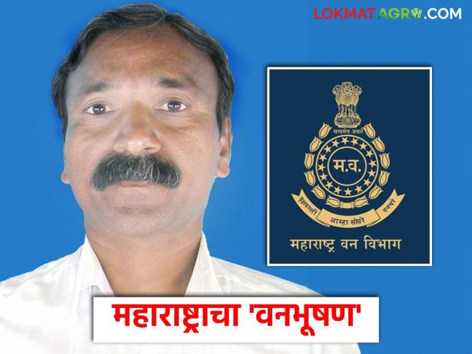 Chaitram Pawar of Baripada announced the first 'Maharashtra Vanbhushan Award' of the state government | बारीपाडा येथील चैत्राम पवार यांना राज्य शासनाचा पहिला ‘महाराष्ट्र वनभूषण पुरस्कार’ जाहीर Chaitram Pawar of Baripada announced the first 'Maharashtra Vanbhushan Award' of the state government | बारीपाडा येथील चैत्राम पवार यांना राज्य शासनाचा पहिला ‘महाराष्ट्र वनभूषण पुरस्कार’ जाहीर