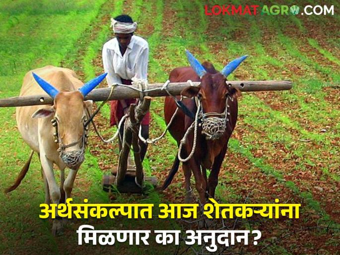 Interim Budget Maharashtra: Budget session started in Vidhan Sabha, important announcements were made for farmers.. | स्प्रिंकलर, ठिबकसह अनेक गोष्टींचे अनुदान थकले, राज्याच्या अर्थसंकल्पानंतर अनुदानाचे पैसे येणार का खात्यावर? Interim Budget Maharashtra: Budget session started in Vidhan Sabha, important announcements were made for farmers.. | स्प्रिंकलर, ठिबकसह अनेक गोष्टींचे अनुदान थकले, राज्याच्या अर्थसंकल्पानंतर अनुदानाचे पैसे येणार का खात्यावर?