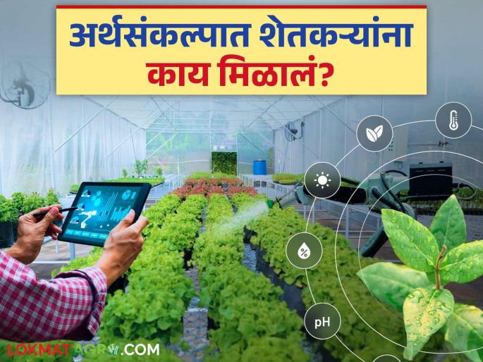 Maharashtra Budget 2025: Read in detail what farmers got in the budget | Maharashtra Budget 2025: अर्थसंकल्पात शेतकऱ्यांना काय काय मिळालं ते वाचा सविस्तर Maharashtra Budget 2025: Read in detail what farmers got in the budget | Maharashtra Budget 2025: अर्थसंकल्पात शेतकऱ्यांना काय काय मिळालं ते वाचा सविस्तर