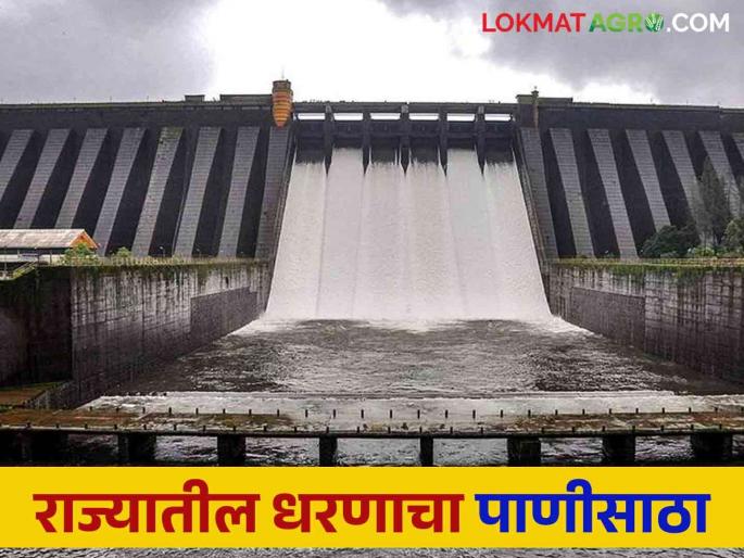 Maharashtra Dam Storage : Some overflow and some dead water storage; Read updates on state water resources | Maharashtra Dam Storage : कुठे ओवरफ्लो तर कुठे अध्याप ही मृत पाणीसाठा; वाचा राज्याच्या पाणीसाठ्याची अद्यावत माहिती Maharashtra Dam Storage : Some overflow and some dead water storage; Read updates on state water resources | Maharashtra Dam Storage : कुठे ओवरफ्लो तर कुठे अध्याप ही मृत पाणीसाठा; वाचा राज्याच्या पाणीसाठ्याची अद्यावत माहिती