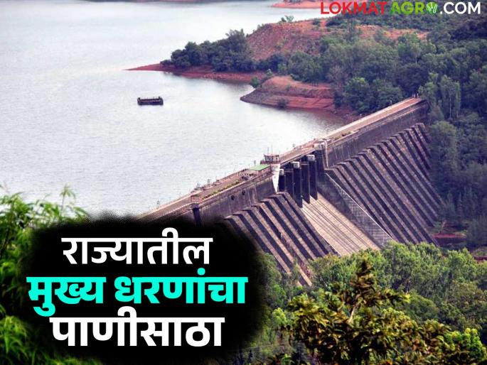 Has the water storage of major dams in the state increased? Has it decreased? Find out in detail | राज्यातील प्रमुख धरणांचा पाणीसाठा वाढला का? कमी झाला? जाणून घ्या सविस्तर Has the water storage of major dams in the state increased? Has it decreased? Find out in detail | राज्यातील प्रमुख धरणांचा पाणीसाठा वाढला का? कमी झाला? जाणून घ्या सविस्तर