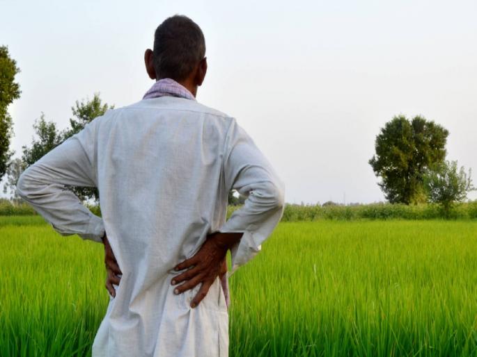 Farmers were cheated, insurance companies will be blacklisted; Information from Agriculture Minister Manikrao Kokate | शेतकऱ्यांना फसविले, विमा कंपन्या होणार ब्लॅक लिस्ट; कृषिमंत्री माणिकराव कोकाटेंची माहिती Farmers were cheated, insurance companies will be blacklisted; Information from Agriculture Minister Manikrao Kokate | शेतकऱ्यांना फसविले, विमा कंपन्या होणार ब्लॅक लिस्ट; कृषिमंत्री माणिकराव कोकाटेंची माहिती