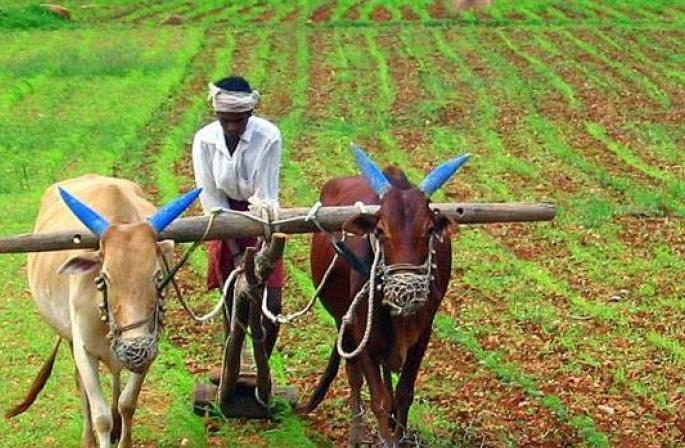 Maharashtra is not able to get loan for farmers lone warrior | शेतकरी कर्जमाफीसाठी महाराष्ट्र सक्षमच नाही, अतिरिक्त निधी उभारणे अशक्य Maharashtra is not able to get loan for farmers lone warrior | शेतकरी कर्जमाफीसाठी महाराष्ट्र सक्षमच नाही, अतिरिक्त निधी उभारणे अशक्य