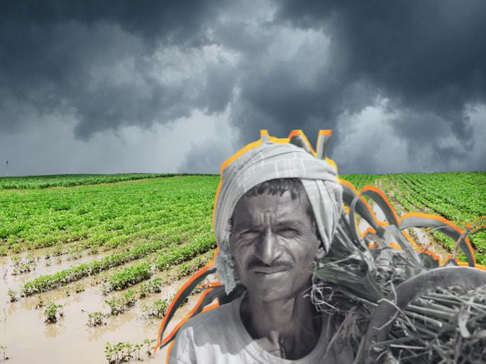 Editorial: Relief is temporary, worry is eternal! The package given without mentioning loan waiver Maharashtra Flood Relief... | संपादकीय: दिलासा तूर्त, चिंता शाश्वत! कर्जमाफीचा उच्चार न करता दिलेले पॅकेज... Editorial: Relief is temporary, worry is eternal! The package given without mentioning loan waiver Maharashtra Flood Relief... | संपादकीय: दिलासा तूर्त, चिंता शाश्वत! कर्जमाफीचा उच्चार न करता दिलेले पॅकेज...