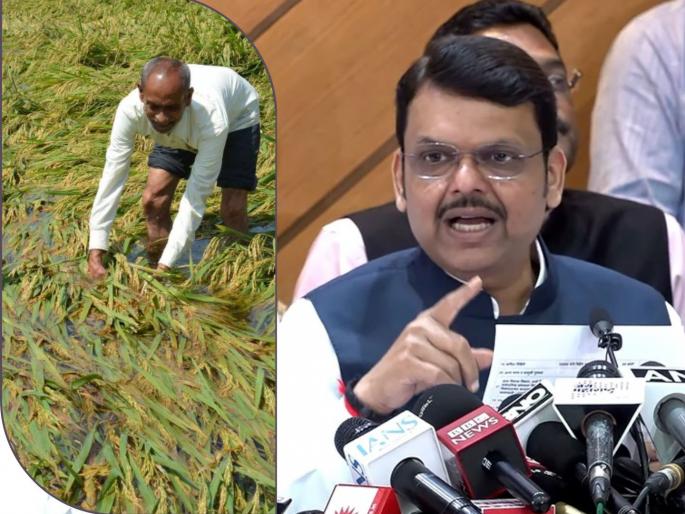 How much money will dryland, seasonal horticultural and horticultural farmers get per hectare? | अतिवृष्टीचा फटका बसलेल्या कोरडवाहू, हंगामी बागायतदार आणि बागायतदार शेतकऱ्यांना प्रति हेक्टरी किती पैसे मिळणार?