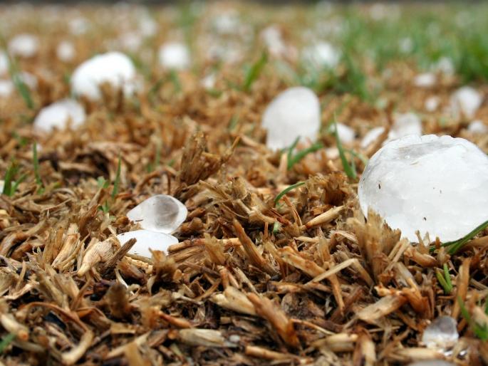 Latest Marathi News Chance of hail accompanied by unseasonal weather in most districts of Maharashtra | शेतकऱ्यांपुढं नवं संकट! महाराष्ट्रातील बहुतांश जिल्ह्यात अवकाळीसोबत गारपिटीची शक्यता Latest Marathi News Chance of hail accompanied by unseasonal weather in most districts of Maharashtra | शेतकऱ्यांपुढं नवं संकट! महाराष्ट्रातील बहुतांश जिल्ह्यात अवकाळीसोबत गारपिटीची शक्यता